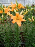 [5088 Eremo No02.JPG]